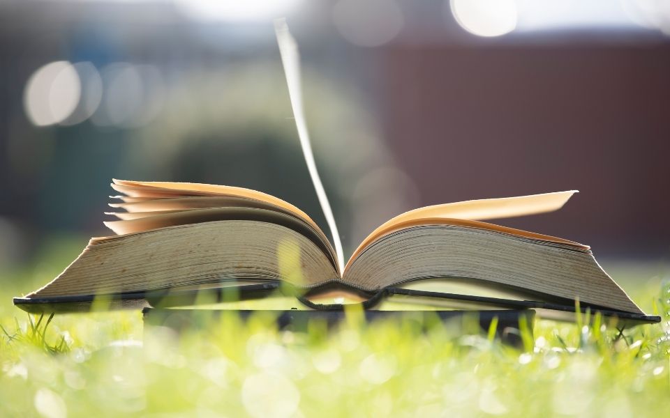 Custard Apples Australia Inc are an Incorporated Association representing Australian Custard Apple Growers