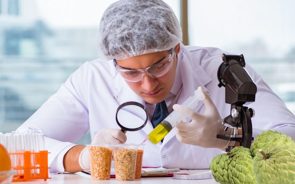 What is the nutritional composition of custard apple?